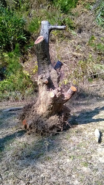WP_20140122_010.jpg