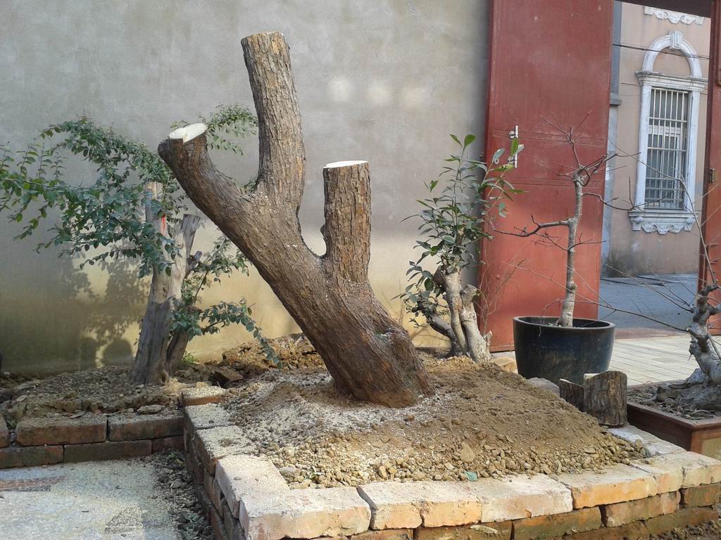 20140122_115001.jpg