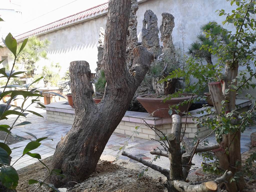 20140122_115015.jpg