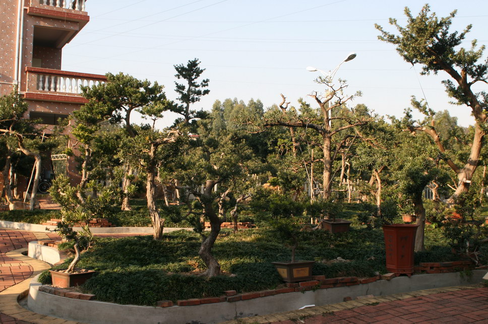 SBQ_20140122_1259.JPG