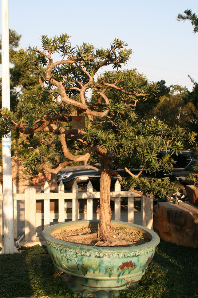 SBQ_20140122_1267.JPG