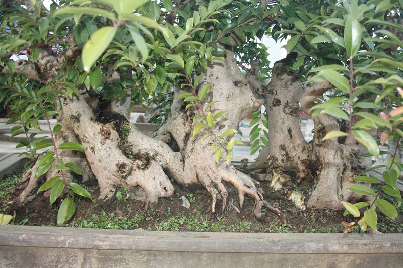 Ƭ20131026ۺ 099.jpg