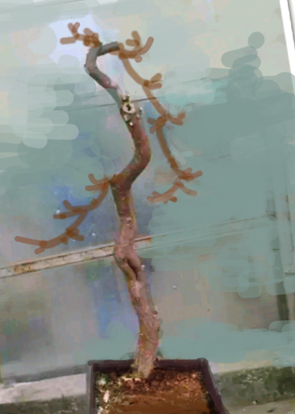 绘画专?_1390539474966_mh000.jpg
