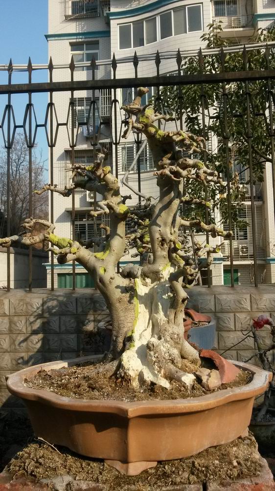 ������С 20140123_100629.jpg