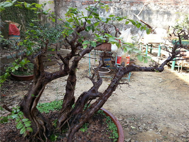 20140123_112221_.jpg