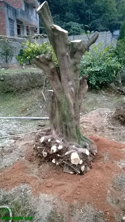 WP_20140125_004.jpg