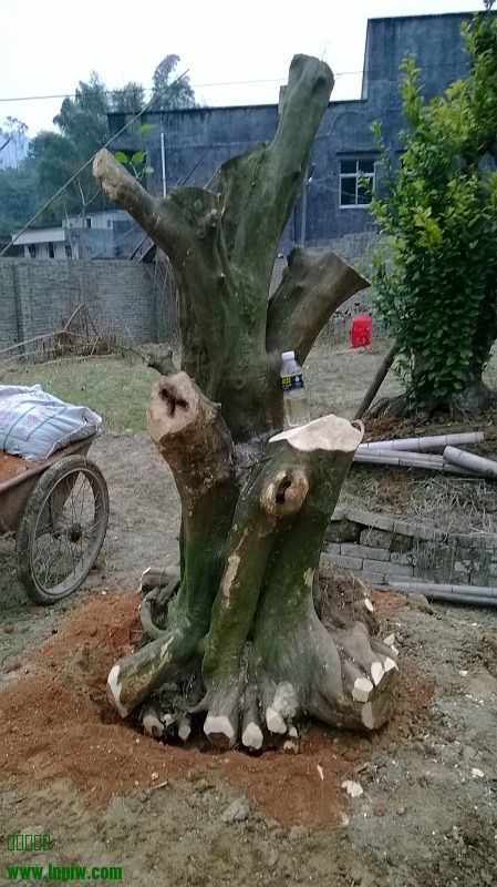 WP_20140125_009.jpg