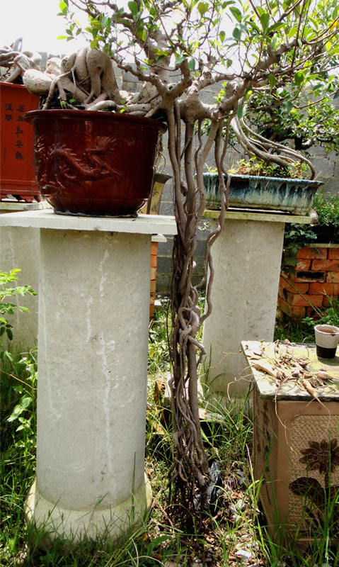 2014.120a.jpg