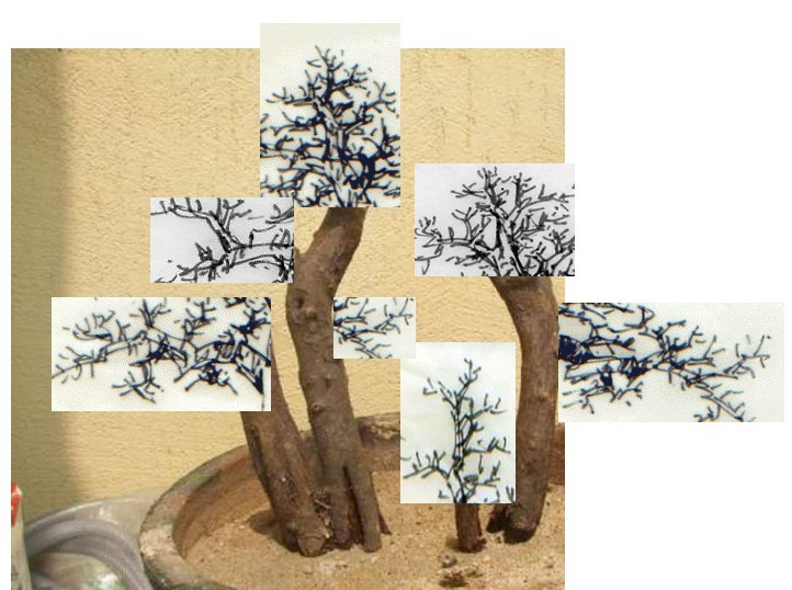 Լ2.jpg