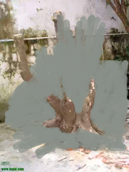 绘画专?_1390801429720.png