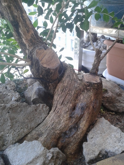 20140128_155836.jpg