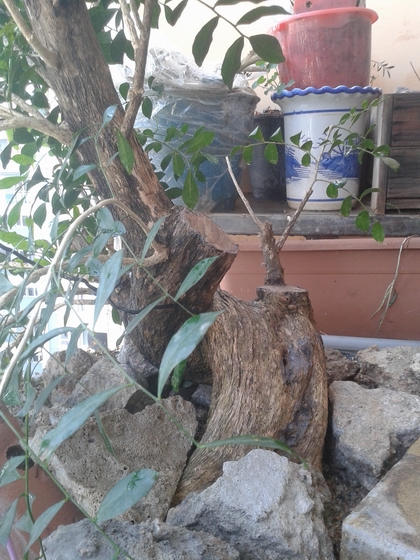 20140128_155850.jpg