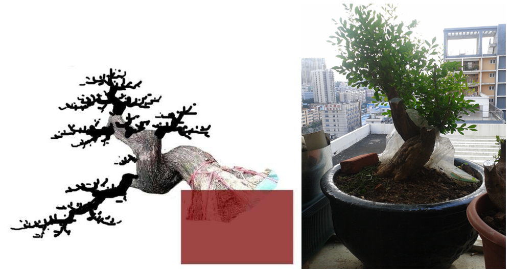 QQͼƬ20130603233322.jpg