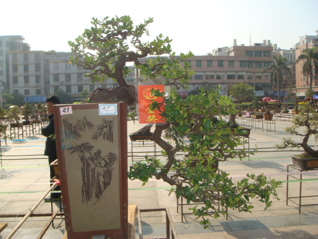 DSC01637.JPG