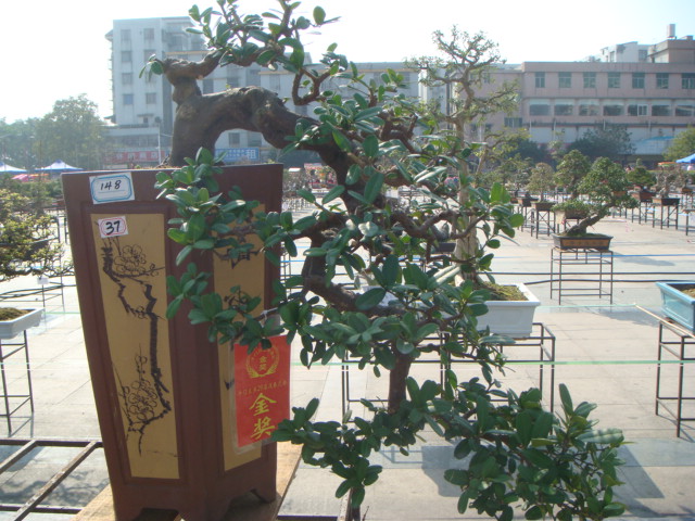 DSC01645.JPG