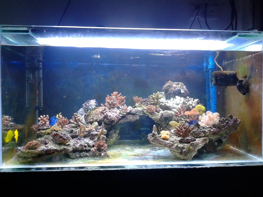 20140129_201516.JPG
