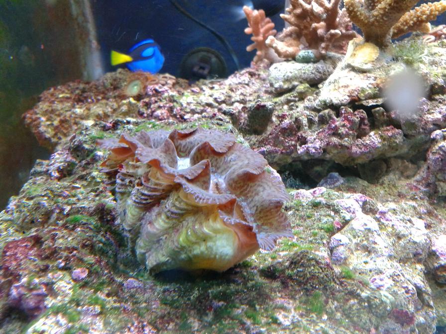 20140113_190745.JPG