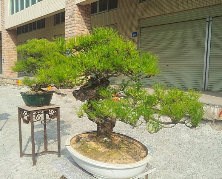 QQͼƬ20140130201029.jpg