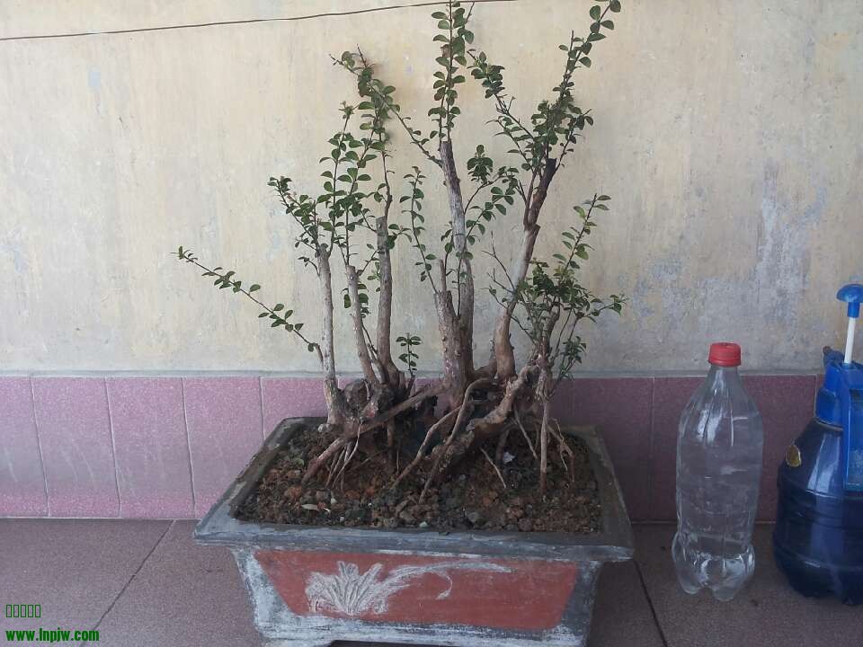 QQͼƬ20140203180158.jpg