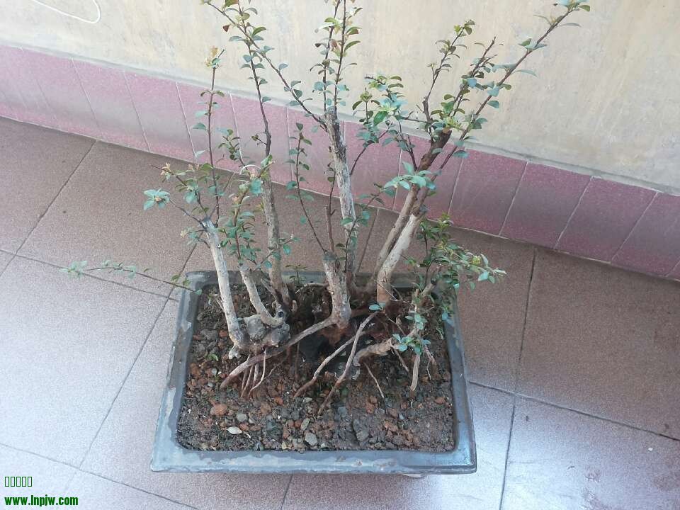 QQͼƬ20140203180032.jpg