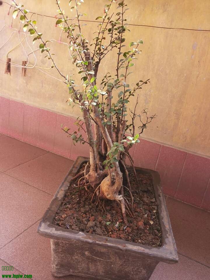 QQͼƬ20140203180035.jpg
