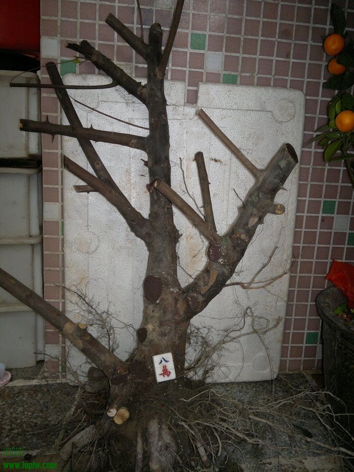 201402041066.jpg