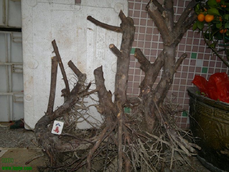 201402041069.jpg