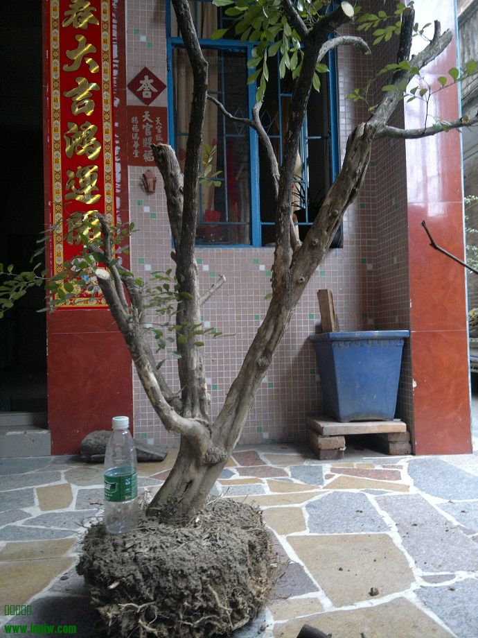 201402041070.jpg