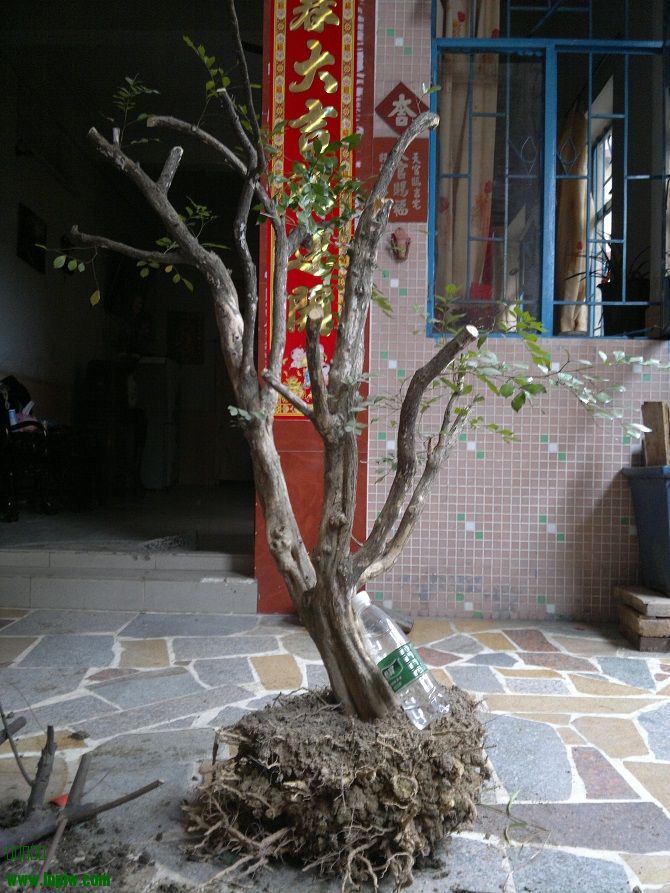 201402041072.jpg