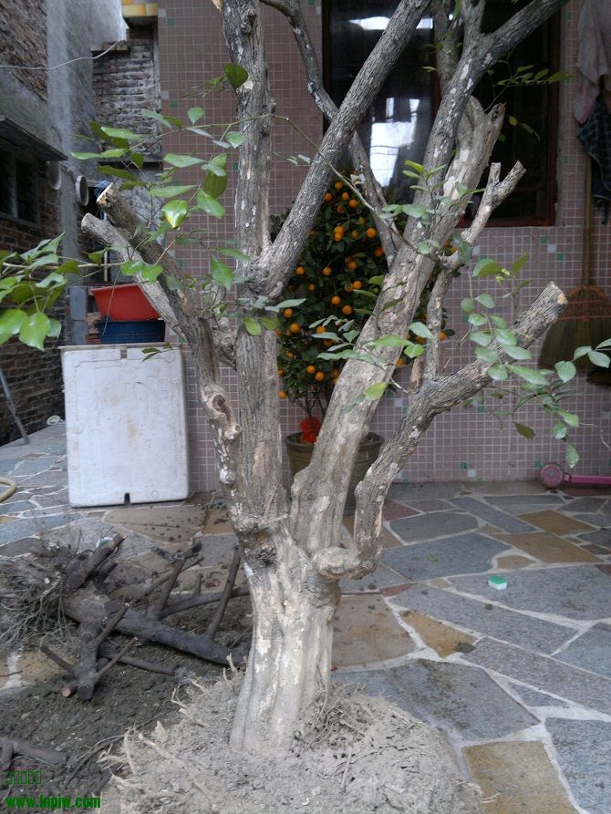 201402041073.jpg