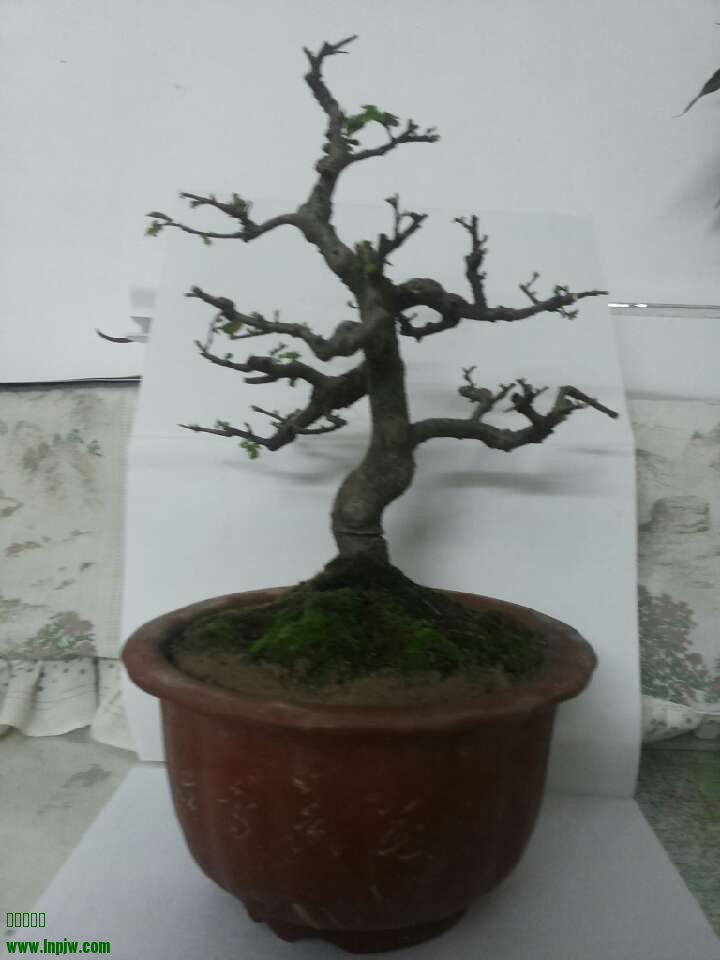 QQͼƬ20140204234901.jpg