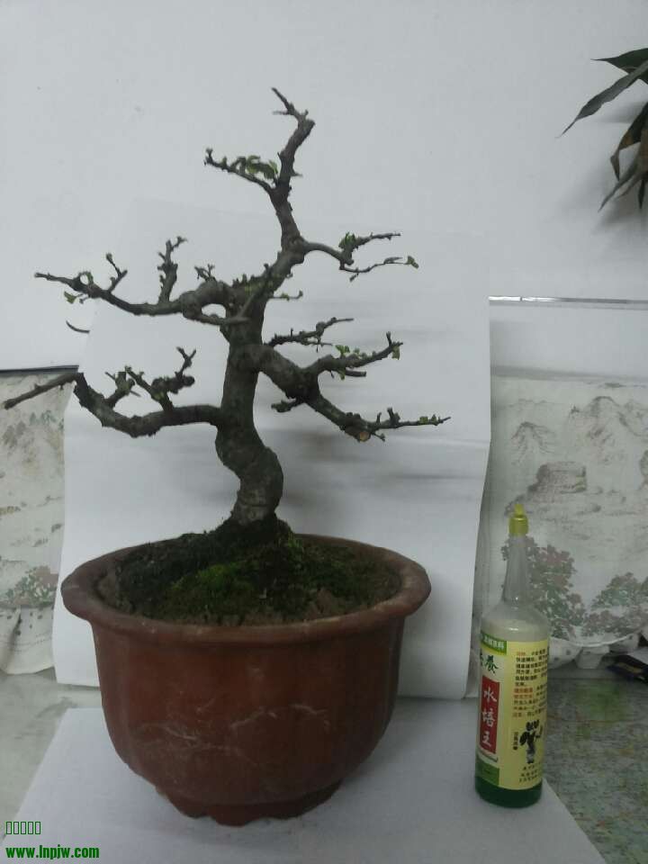 QQͼƬ20140204234851.jpg