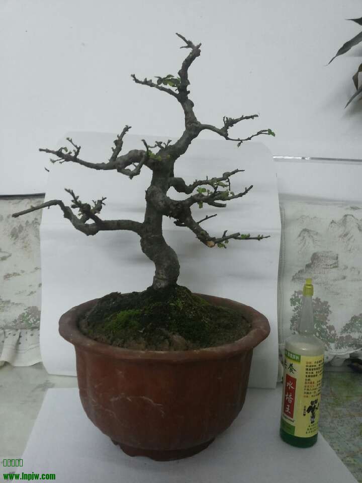 QQͼƬ20140204234857.jpg