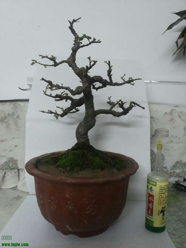 QQͼƬ20140204234912.jpg
