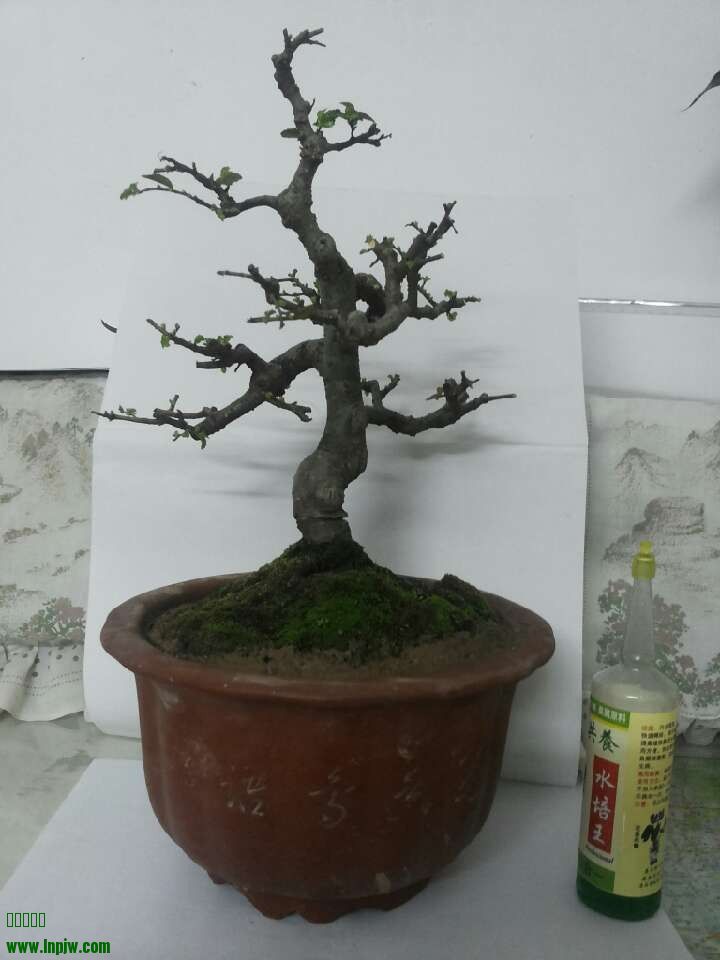 QQͼƬ20140204234908.jpg