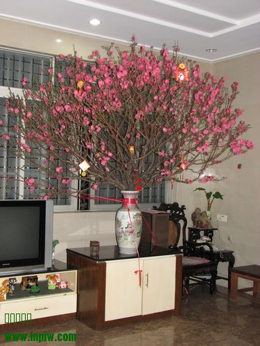 IMG_8425_СС.JPG