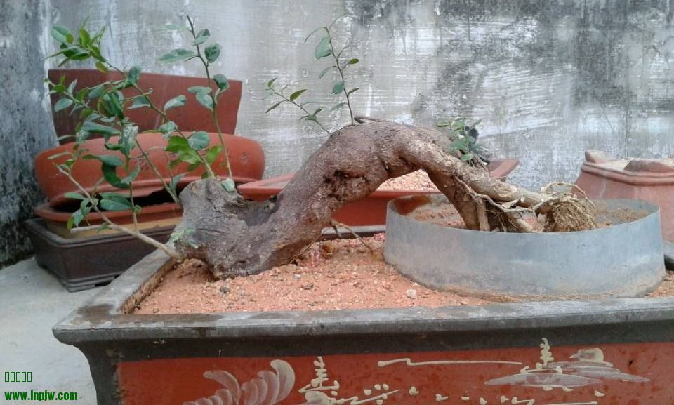 QQͼƬ20140126222036.jpg