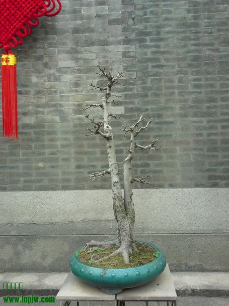 20140205_121748_С.jpg