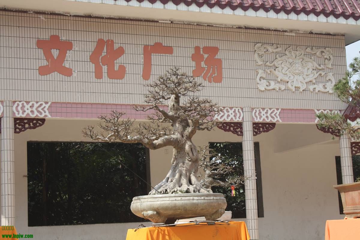 Ƭ20131026ۺ 133.jpg