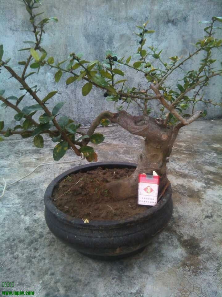 QQͼƬ20140208221323.jpg
