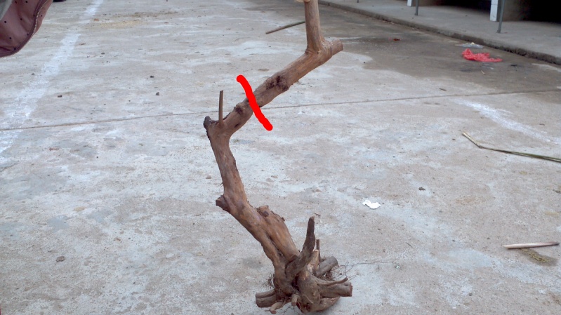 2014-02-09_13-25-53_831_conew1.jpg