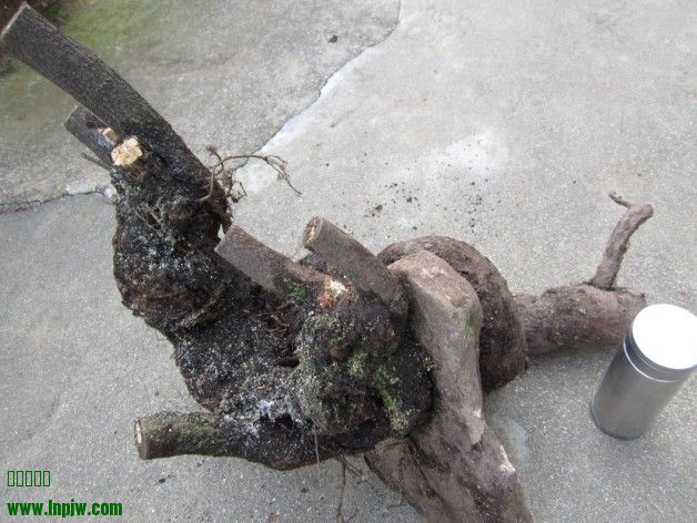 QQͼƬ20140210202004.jpg