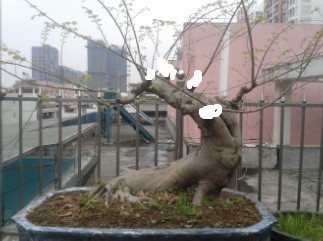QQͼƬ20140211002810.jpg