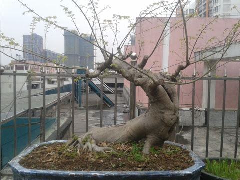 QQͼƬ20140211004642.jpg