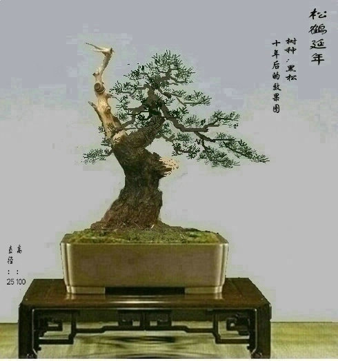 ½ͼƬ6______1.jpg