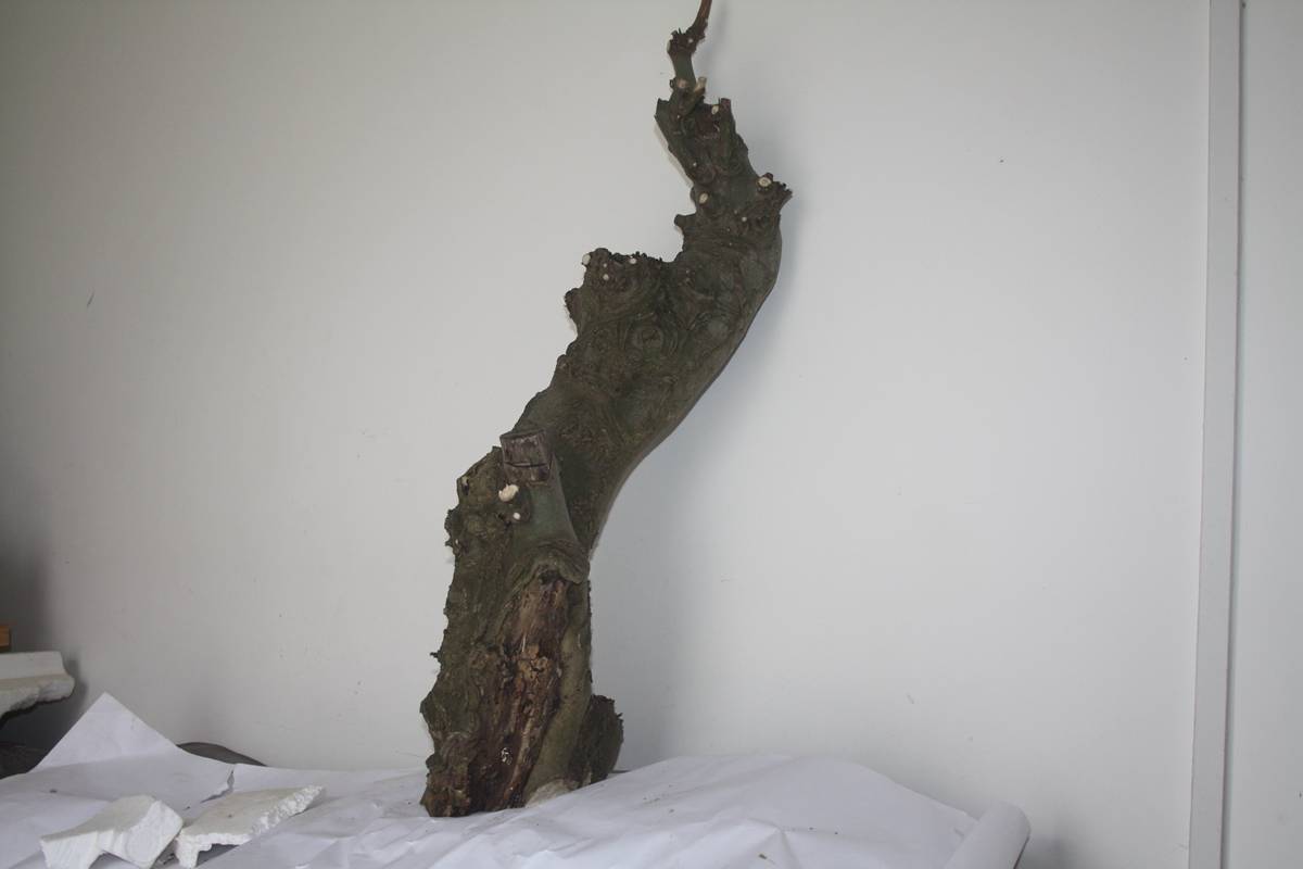 Ƭ20131026ۺ 665.jpg
