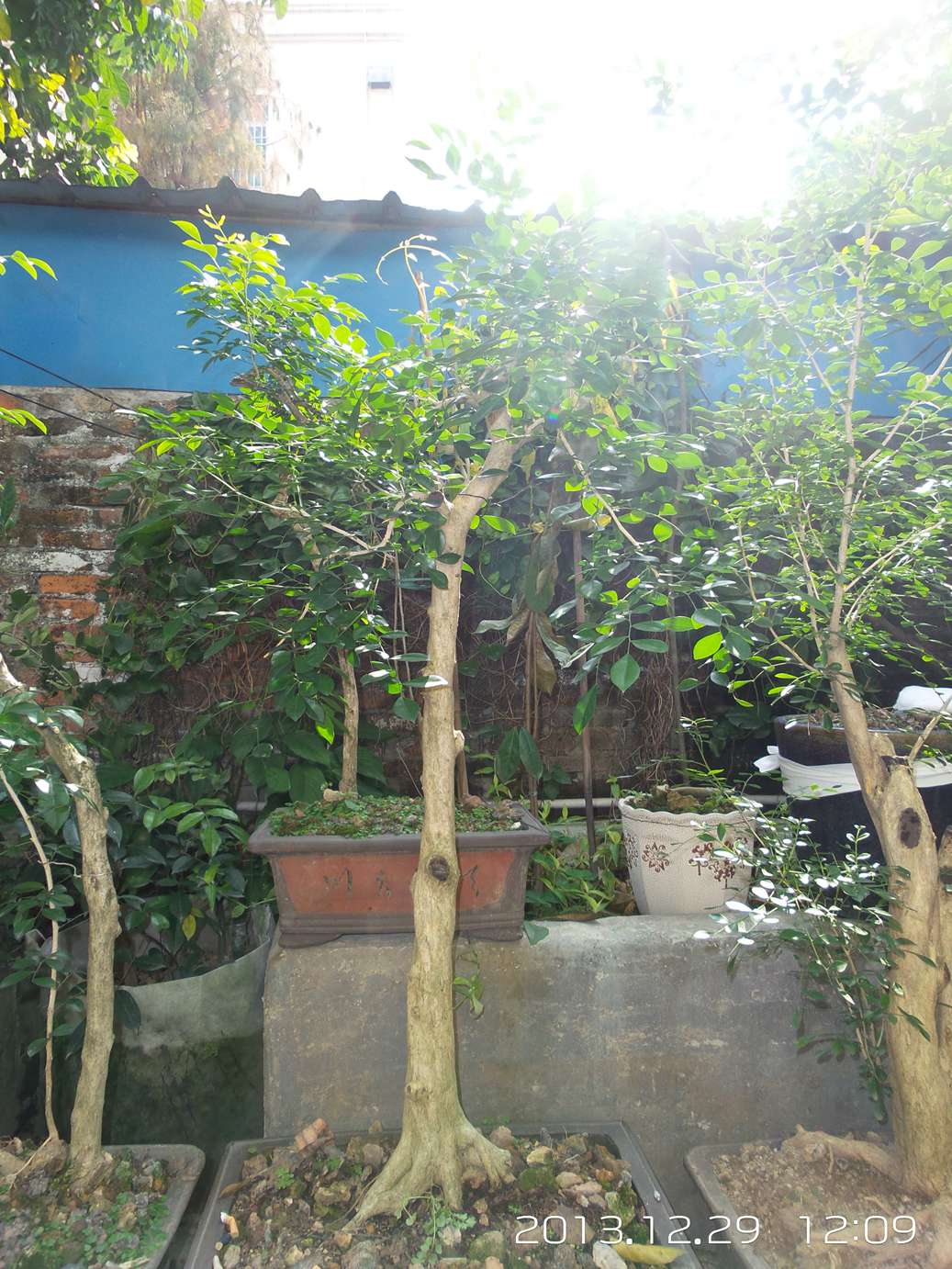 20131229_120911.jpg