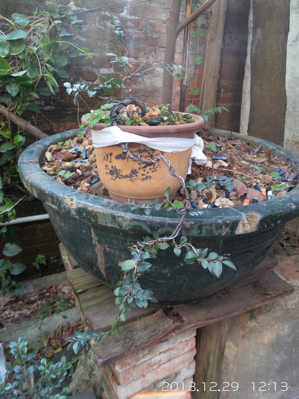 20131229_121315.jpg