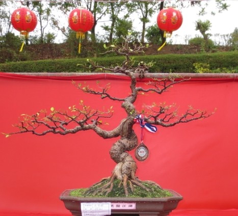 QQͼƬ20090908013554.jpg