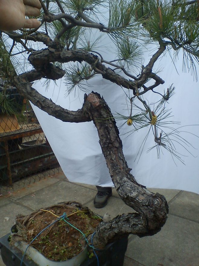 DSC02008.jpg